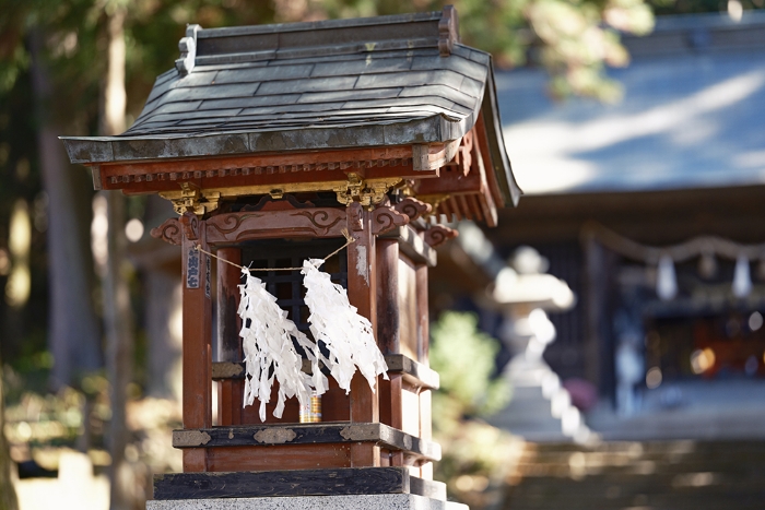 波多志神
